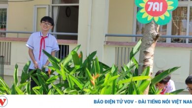 em trieu duc duy cung cac ban cham soc cong trinh mang non lop 7a1
