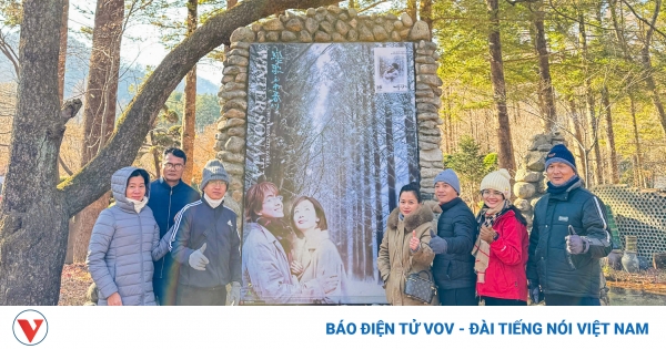 khach viet nam tai han quoc