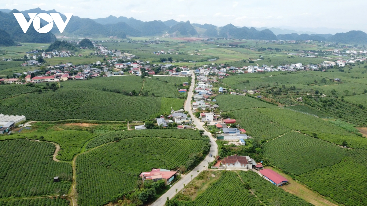 ket noi khu du lich quoc gia moc chau voi nhung dia chi do hinh anh 1