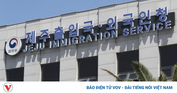 news p v1 20241203 d444c47b3e8e4