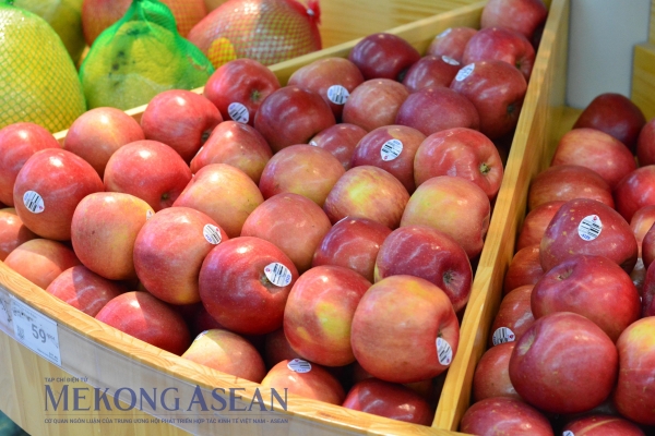 Top 3 thị trường nhập khẩu nông lâm thủy sản lớn nhất của Việt Nam 1 nhu 238120241217114048