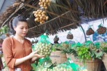 Nhiều lợi ích trong chương trình OCOP ở Hưng Yên