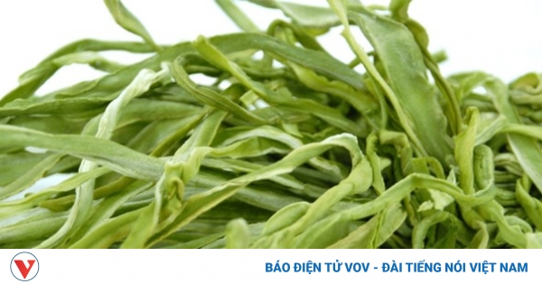 Loại rau trông “như nắm cỏ”, tưởng bỏ đi hóa lại là “thuốc bổ tự nhiên” cực quý 1 rau tien vua co tac dung gi 1