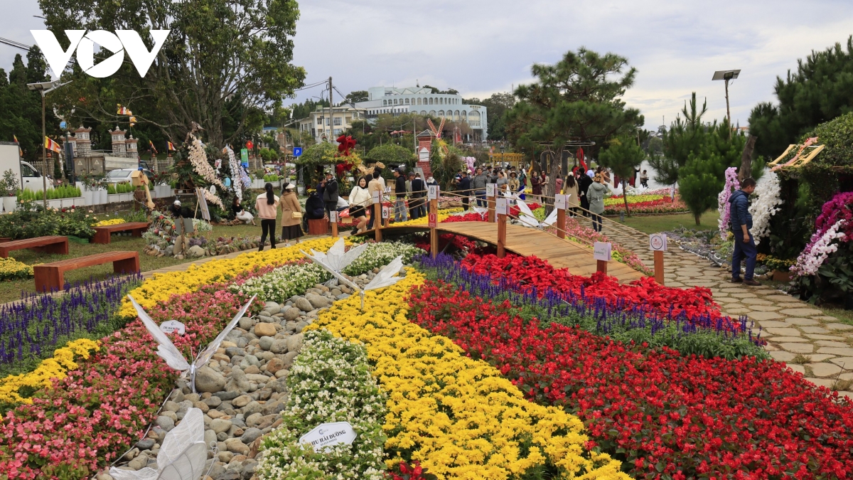 san sang dem khai mac festival hoa Da lat lan thu 10 nam 2024 hinh anh 3