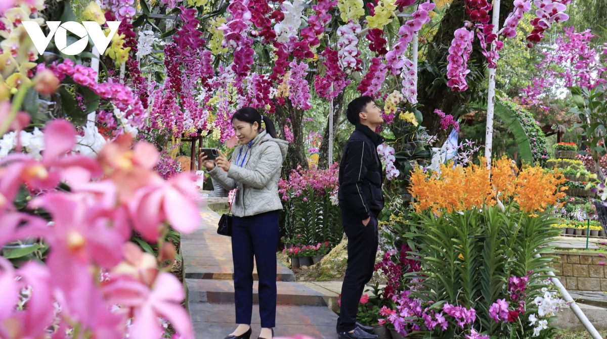 san sang dem khai mac festival hoa Da lat lan thu 10 nam 2024 hinh anh 2