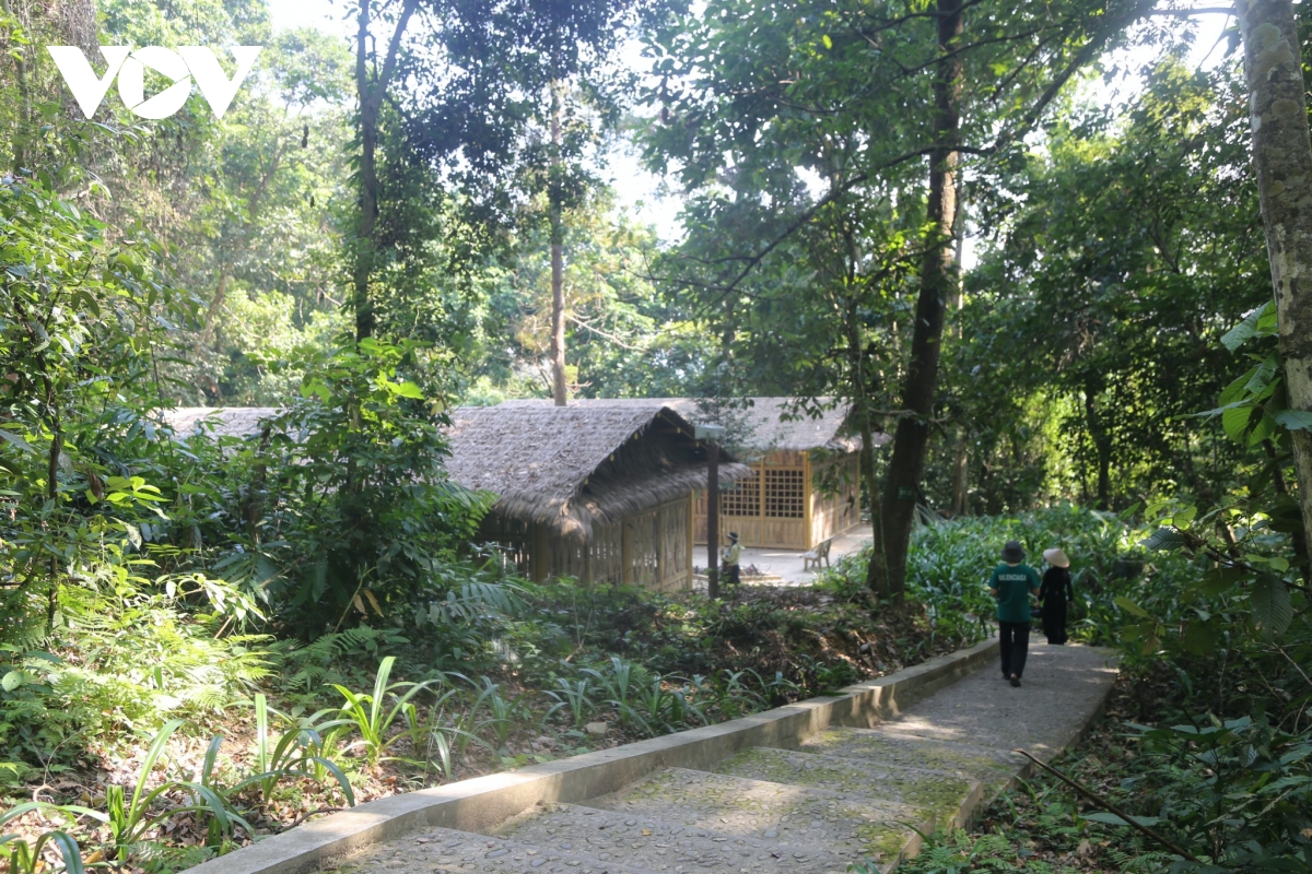 san sang don du khach den voi di tich rung tran hung Dao, cao bang hinh anh 1