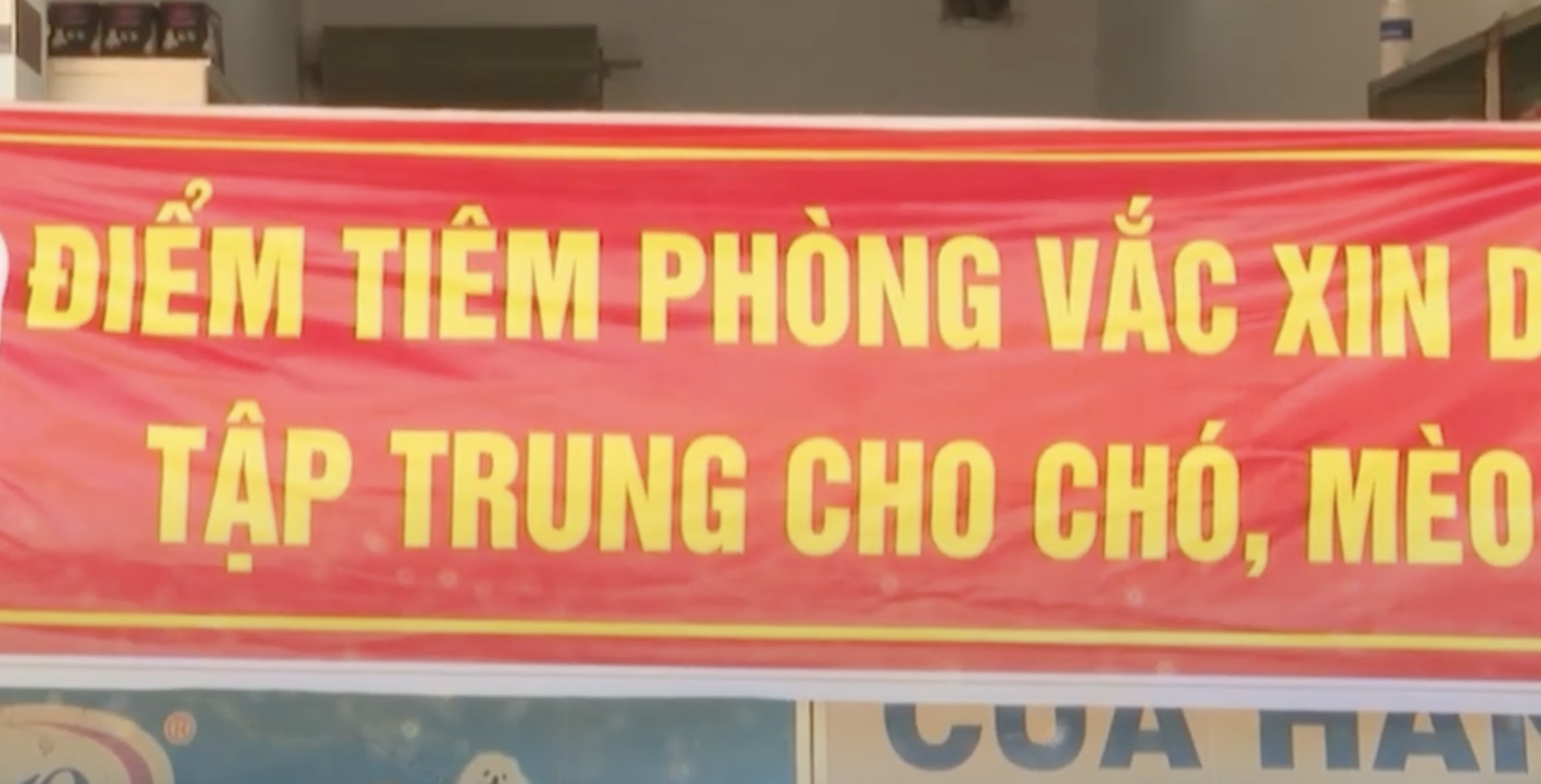 Hơn 80 trường hợp tử vong do bệnh dại- Ảnh 2. Hơn 80 trường hợp tử vong do bệnh dại- Ảnh 2.