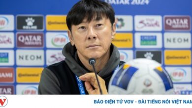 shin tae yong 6