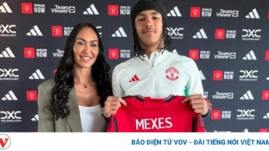 silva meckses ava