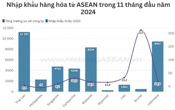 Việt Nam chi hơn 42 tỷ USD để nhập khẩu hàng hóa từ ASEAN 1 snapshot 173434811248520241216182207