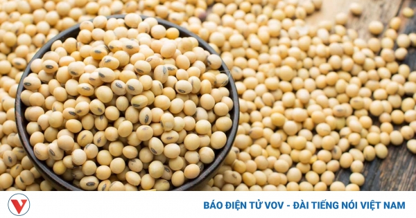 Loại hạt được ví như “thịt không xương”, siêu bổ dưỡng lại cực nhiều ở Việt Nam 1 tac dung cua hat dau nanh 1