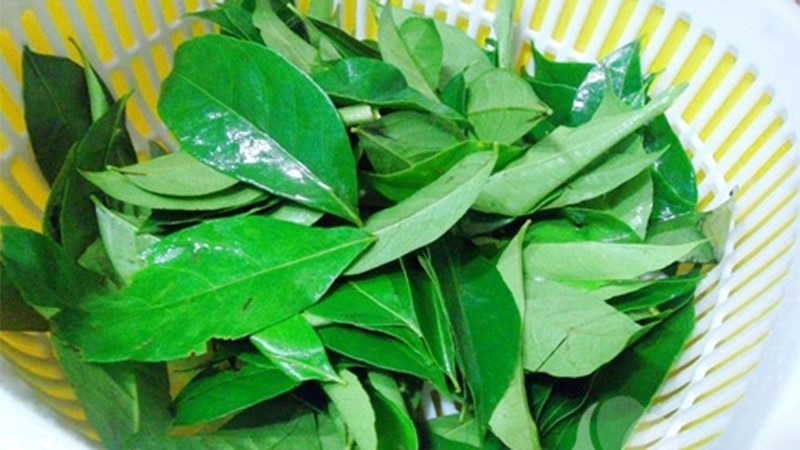 loai la thom phuc la kho dinh duong cuc bo, o viet nam di dau cung thay hinh anh 2