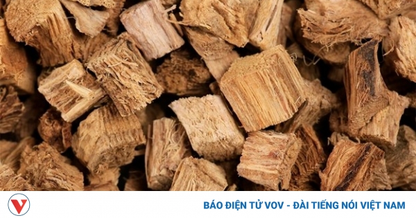 Loại củ Việt được ví như "nhân sâm châu Á”, bổ đủ đường nhưng đang bị lãng quên 1 tac dung cua san day 1
