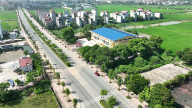 thanh oai