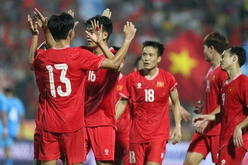 Giá vé xem tuyển Việt Nam đá sân khách AFF Cup 2024 bao nhiêu? 1 tuyen viet nam nhan tin cuc vui truoc asean cup 2024 90753