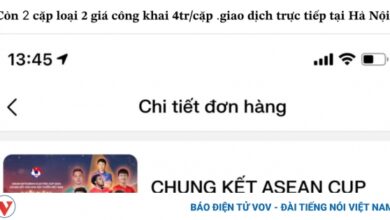 ve asean cup