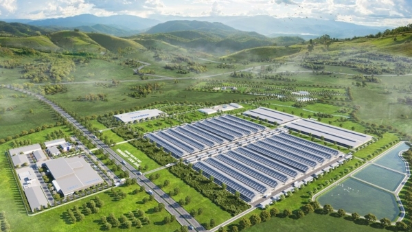 Sojitz khai trương nhà máy chế biến thịt bò mát 10.000 tấn tại Tam Đảo 1 vinabeef tam da o20241218230404