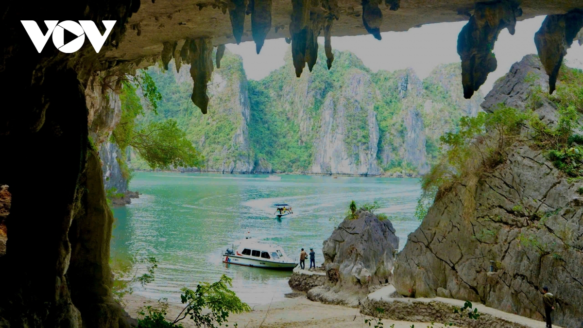 unesco se den vinh ha long danh gia tac dong moi truong hinh anh 1