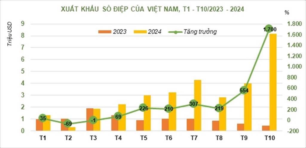 Mỹ là thị trường xuất khẩu sò điệp lớn nhất của Việt Nam