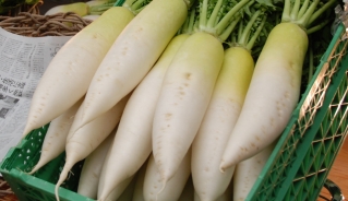 daikon nara prefecture japan