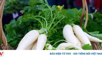 tac dung cua cu cai 1