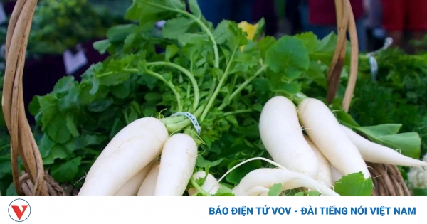 Củ cải có bộ phận "bổ dưỡng tựa nhân sâm", người Việt thường bỏ đi mà không hay 1 tac dung cua cu cai 1